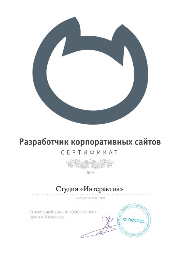Сертификат - разработчик Корпоративных сайтов на NetCat
